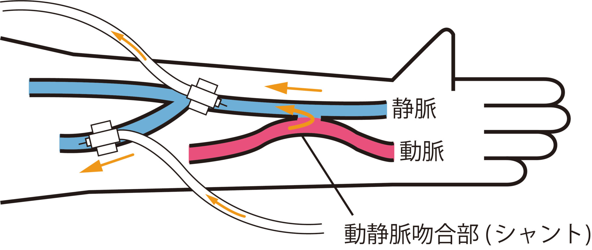腎臓内科 | 社会医療法人 仁愛会